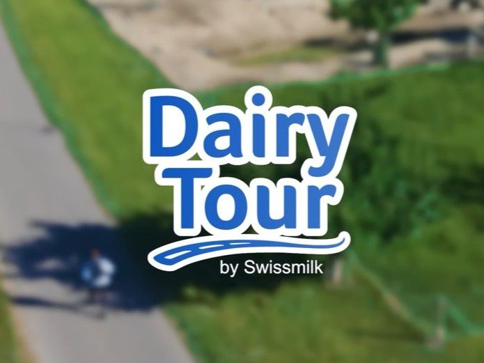 dairy0